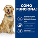 EAN 52742918303 - Hills 606275 alimento húmedo para perros Ternera Universal 12 kg imagen 4