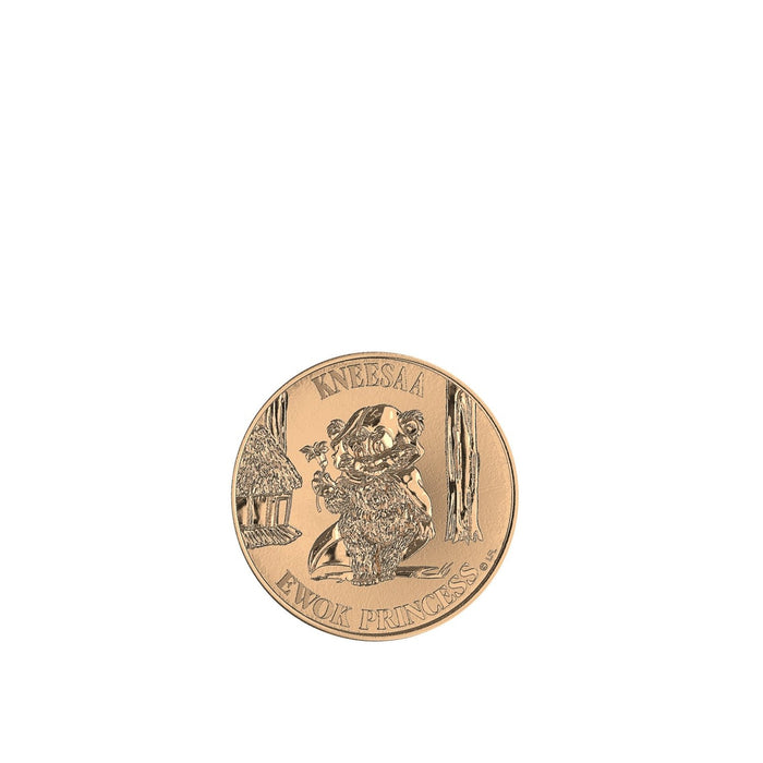 EAN 5010996174437 - Star Wars The Vintage Collection Wicket & Kneesaa imagen 20