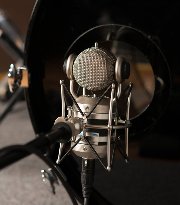 EAN 5099206084872 - Blue Microphones mouse Negro Micrófono de estudio imagen 12