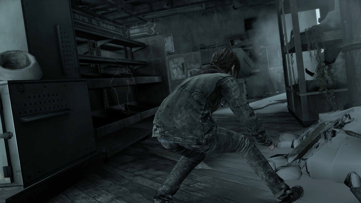 EAN 0711719411475 - Sony The Last of Us Remastered, PS4 Remasterizada Inglés, Italiano PlayStation 4 imagen 7
