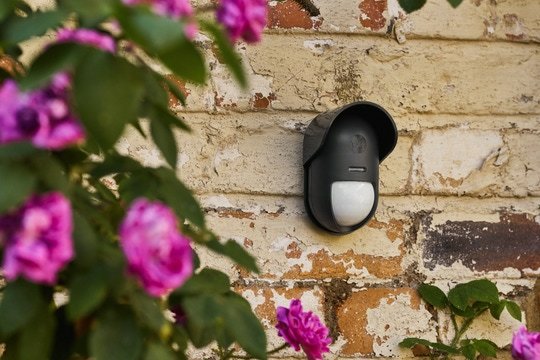 EAN 5052847131121 - Yale Outdoor Motion Sensor Sensor de infrarrojos Inalámbrico Pared Negro imagen 4