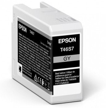 EAN 8715946680880 - Epson UltraChrome Pro cartucho de tinta 1 pieza(s) Original Gris imagen 1