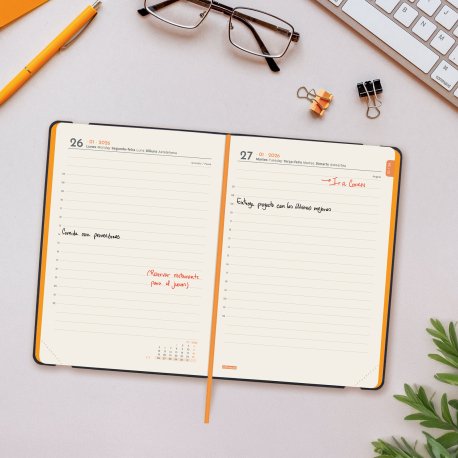 EAN 8422952405962 - Finocam 883381026 agenda Agenda diaria Azul imagen 3