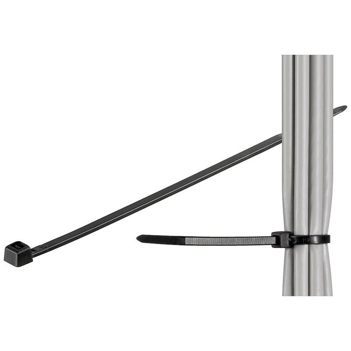 EAN 4040849170683 - Goobay 17068 presilla Nylon Negro 100 pieza(s) imagen 1