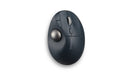 EAN 0085896721963 - Kensington Pro Fit Ergo TB550 ratón Oficina mano derecha RF Wireless + Bluetooth Trackball 1600 DPI imagen 1