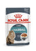 EAN 9003579000403 - Royal Canin Hairball Care Gravy 85 g imagen 1
