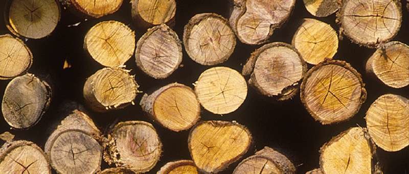 EAN 4006825608342 - Einhell GE-LC 18 Li - Solo Negro, Rojo imagen 2