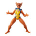 EAN 5010996222428 - Marvel Legends Series Wolfsbane imagen 2