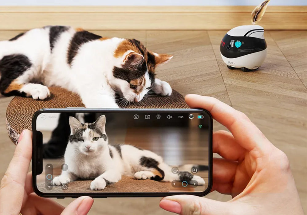 EAN 6972822120317 - Enabot EBO Air imagen 3