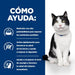 EAN 0052742043142 - Hills 605877 comida húmeda para gatos 3 kg imagen 3