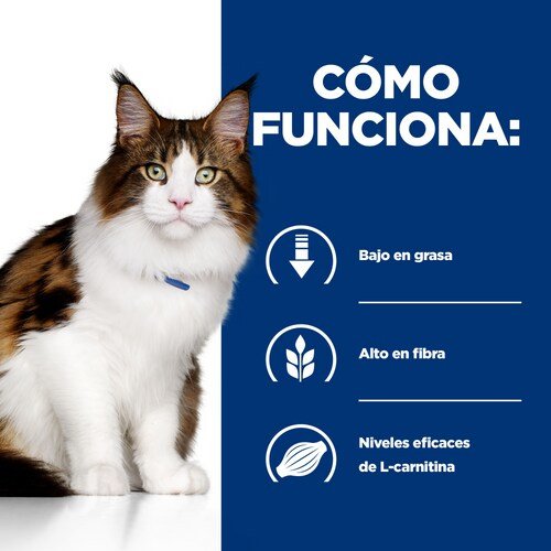 EAN 52742042251 - Hills 605849 comida húmeda para gatos 3 kg imagen 4