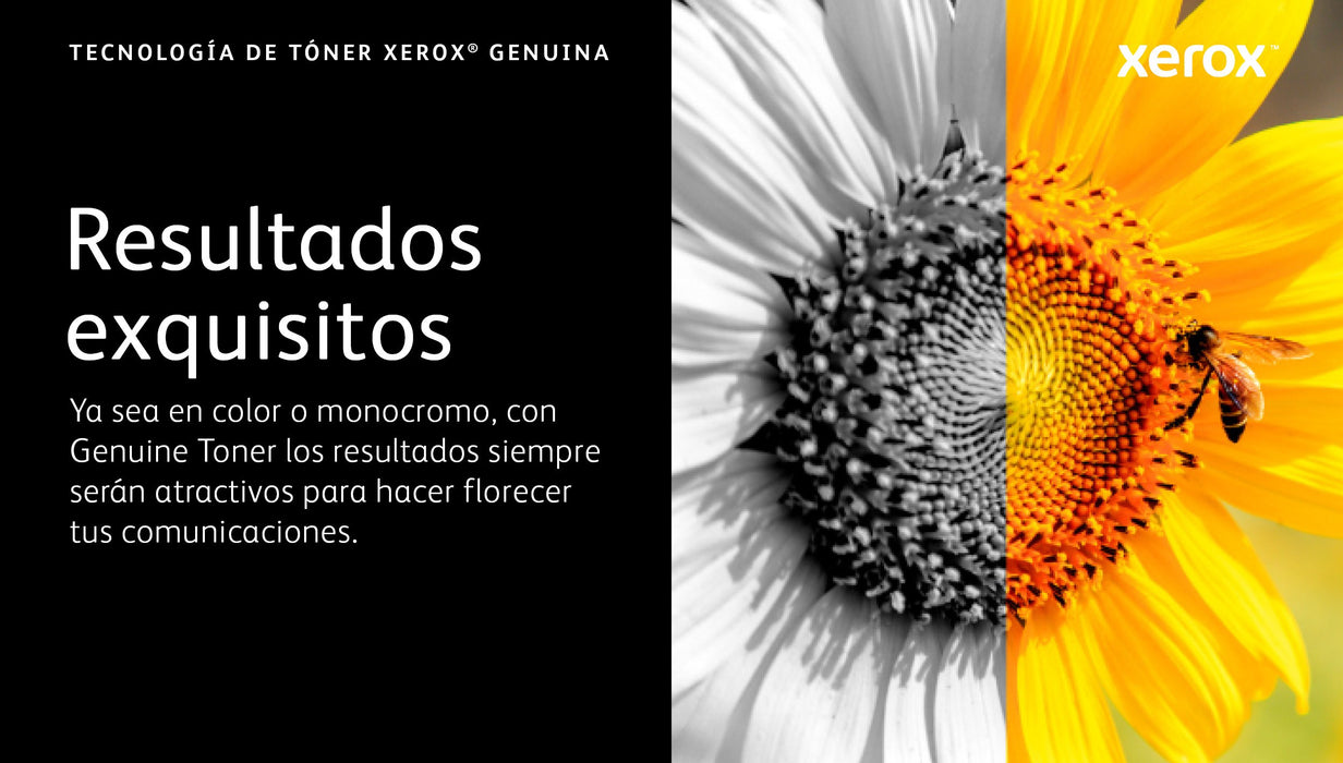 EAN 95205038590 - Xerox 006R04670 cartucho de tóner 1 pieza(s) Original imagen 8