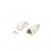 EAN 4015867178188 - Equip 121175 conector RJ-45 Transparente, Blanco imagen 1