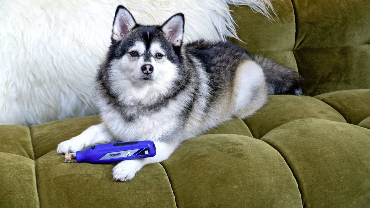 EAN 8710364083114 - Dremel F0137350PA no categorizado imagen 5