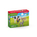EAN 4055744012587 - schleich FARM WORLD 42385 figura de juguete para niños imagen 2