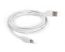 EAN 0811643013773 - OWC NWTCBLUSBL2MW cable de conector Lightning 2 m Blanco imagen 1