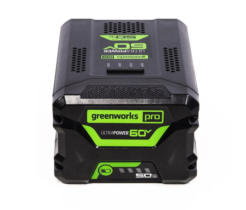 EAN 6952909078557 - Greenworks 2944907 cargador y batería cargable imagen 3