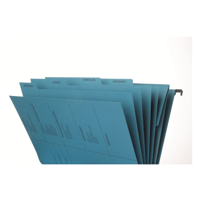 EAN 4013951012417 - Pagna 44105-02 archivador colgante A4 Cartón Azul 10 pieza(s) imagen 6