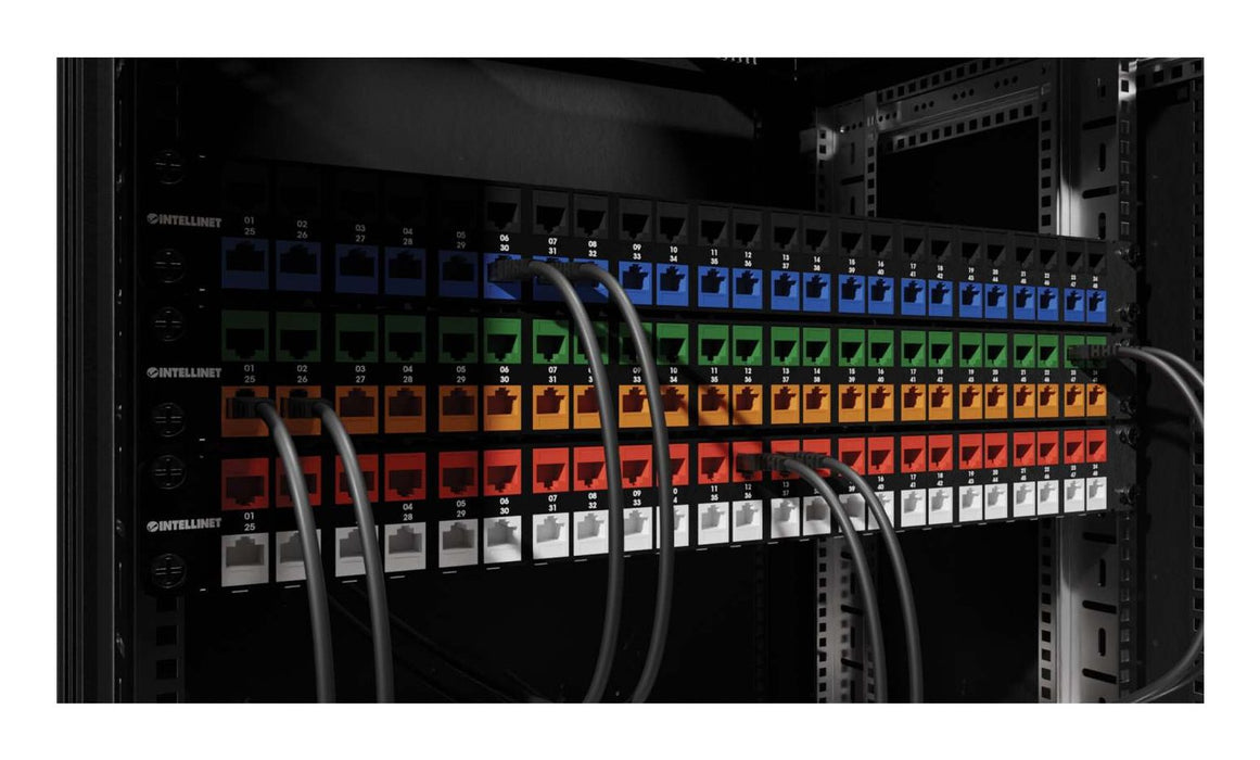 EAN 0766623791311 - Intellinet 791311 módulo de conector de red imagen 7