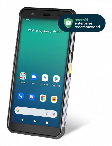 EAN 5715063183588 - Newland NFT10 Pilot Pro ordenador móvil de mano 14,5 cm (5.7") 1280 x 720 Pixeles Pantalla táctil 265 g N imagen 1