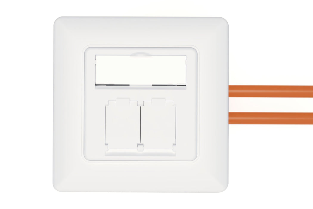 EAN 4016032485735 - Digitus DN-9010/8-2 toma de corriente 2 x RJ-45 Blanco imagen 4
