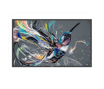 EAN 8712581765385 - Philips 50BDL3550Q/00 pantalla de señalización Pantalla plana para señalización digital 125,7 cm (49.5")  imagen 1