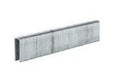 EAN 4006825658385 - Einhell 4137875 grapa Paquete de grapas 3000 grapas imagen 1