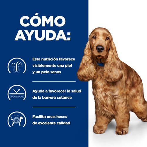 EAN 52742040424 - Hills 605911 alimento húmedo para perros Pollo, Ternera Universal 3 kg imagen 3