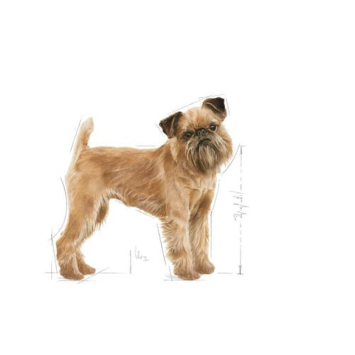 EAN 3182550894371 - Royal Canin Mini Dental Care 3 kg Adulto Aves imagen 3