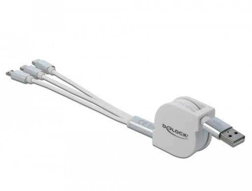 EAN 4043619858507 - DeLOCK 85850 cable USB USB 2.0 0,98 m USB A USB C/Micro-USB B/Lightning Plata, Blanco imagen 2