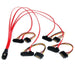EAN 0065030848039 - StarTech.com SAS808782P50 cable Serial Attached SCSI (SAS) 0,5 m Negro, Rojo imagen 1