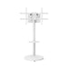 EAN 8052101433616 - Ewent EW1550 soporte para TV 2,18 m (86") Blanco imagen 3
