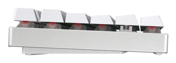 EAN 4025112113079 - CHERRY MX 8.2 TKL Wireless RGB teclado Juego USB + RF Wireless + Bluetooth QWERTZ Alemán Blanco imagen 3