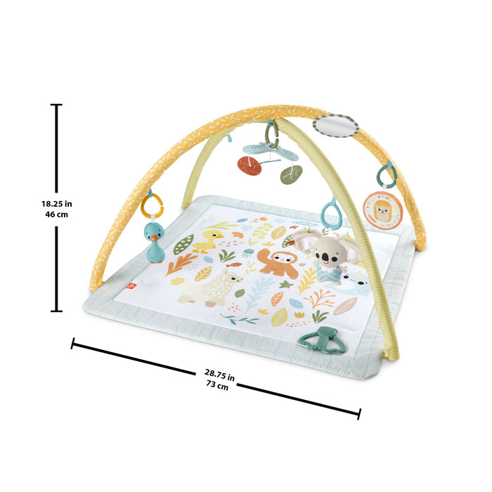 EAN 0194735171385 - Fisher-Price HRB15 gimnasio para bebé y tapete de juego Tela, Plástico Multicolor Gimnasio para bebés imagen 5