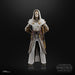 EAN 5010996313065 - Star Wars The Black Series Jedi Temple Guard imagen 3