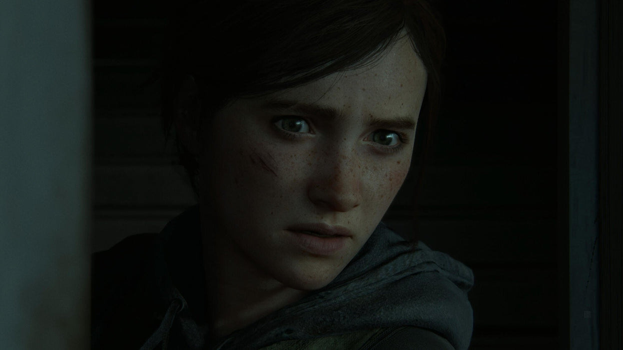 EAN 0711719330806 - Sony Interactive Entertainment The Last of Us Part II Estándar PlayStation 4 imagen 28