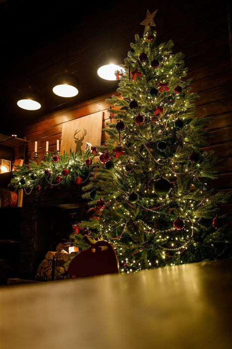 EAN 4011972943451 - Krinner X-320 Deluxe imagen 4