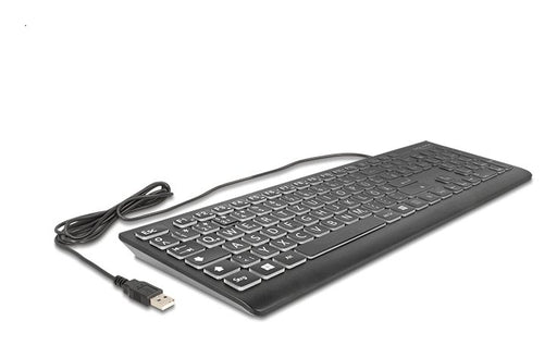 EAN 4043619121700 - DeLOCK 12170 teclado Universal USB QWERTZ Alemán Negro imagen 1