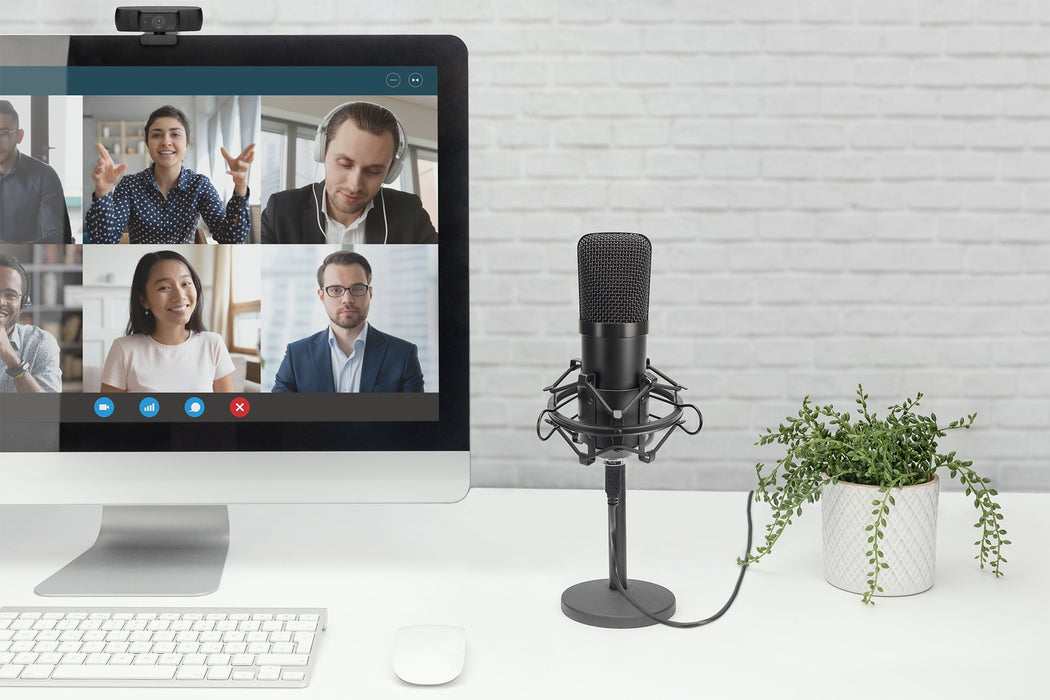 EAN 4016032485797 - Digitus DA-20300 micrófono Negro Micrófono de estudio imagen 2