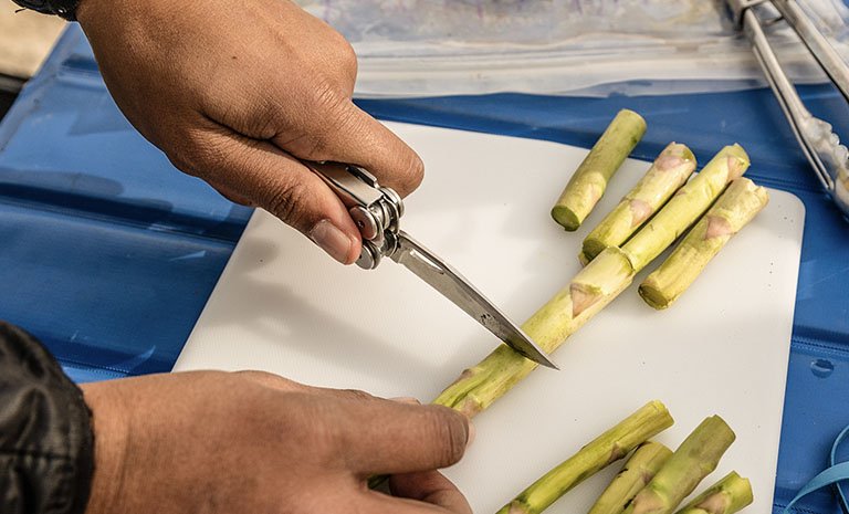 EAN 0037447007545 - Leatherman Curl alicate multiherramienta para bolsillo 15 herramientas Plata imagen 5