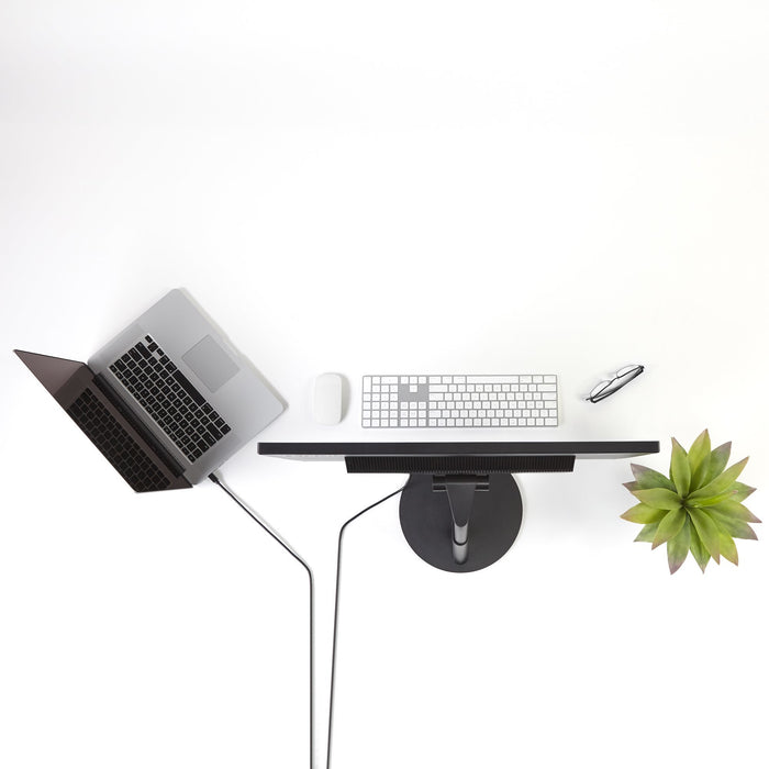 EAN 0065030837019 - StarTech.com MDP2DPMM6 cable DisplayPort Negro imagen 2