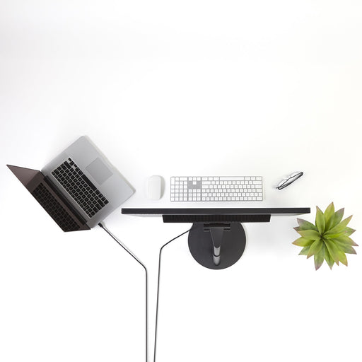 EAN 65030840507 - StarTech.com MDP2DPMM10 cable DisplayPort Negro imagen 2