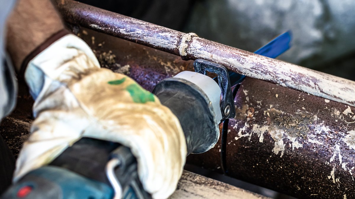 EAN 4059952534572 - Bosch 2 608 900 367 hoja de sierra de calar, de sierra de marquetería y de sierra recíproca Hoja de sierr imagen 6