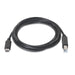 EAN 8436574700534 - AISENS A107-0054 cable USB USB 2.0 2 m USB C USB B Negro imagen 2