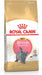 EAN 3182550816533 - Royal Canin British Shorthair Kitten alimento seco para gatos 2 kg Gatito Aves, Arroz, Vegetal imagen 1