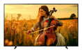 EAN 4548736167506 - Sony K-65XR5 165,1 cm (65") 4K Ultra HD Smart TV Wifi Negro imagen 1