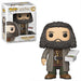 EAN 889698355087 - FUNKO POP Vinyl: Harry Potter S5: Rubeus Hagrid imagen 1