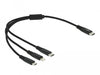 EAN 4043619871483 - DeLOCK 87148 cable USB USB 2.0 0,3 m USB C USB C/Micro-USB B/Lightning Negro imagen 1