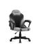 EAN 5903796010633 - Huzaro RANGER 1.0 GREY MESH silla de oficina y de ordenador Asiento plano Respaldo de rejilla imagen 1