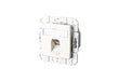EAN 4250184102571 - BTR NETCOM 1307371102-I toma de corriente RJ-45 Blanco imagen 1